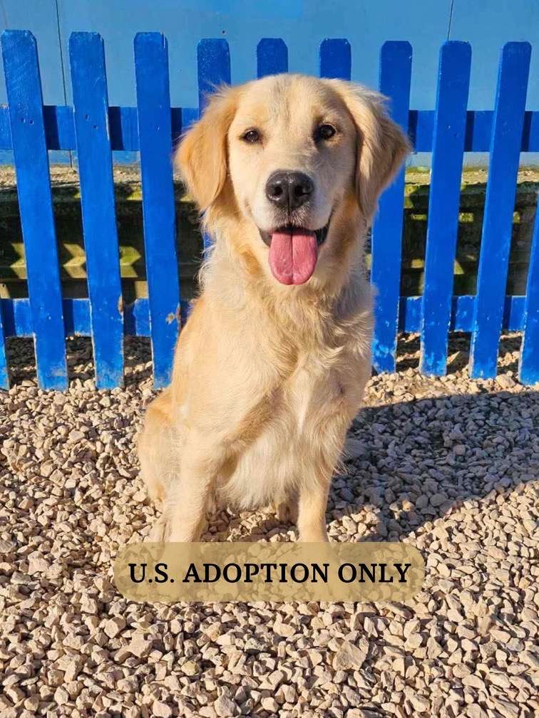 Kennedy - Application Limit Exceeded